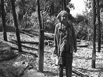 woman and burned home
