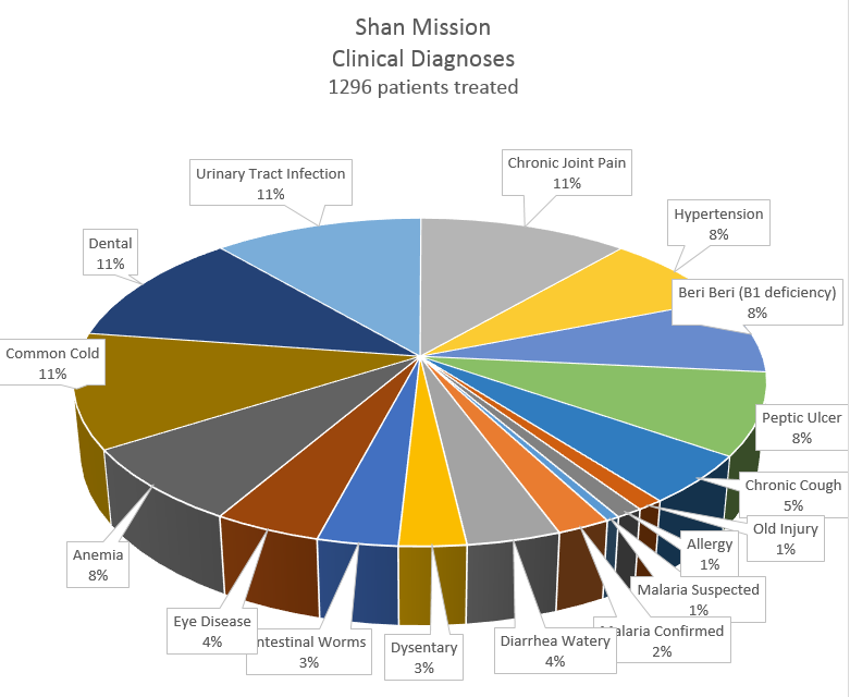 Breakdown of Patient Diagnoses During Shan Mission