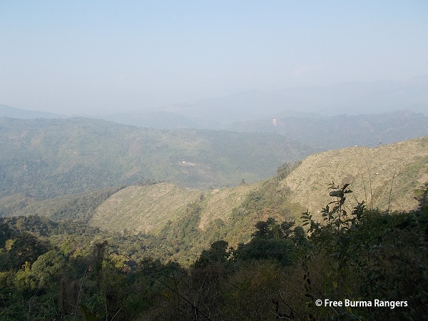 Deforestation around Devoh Village
