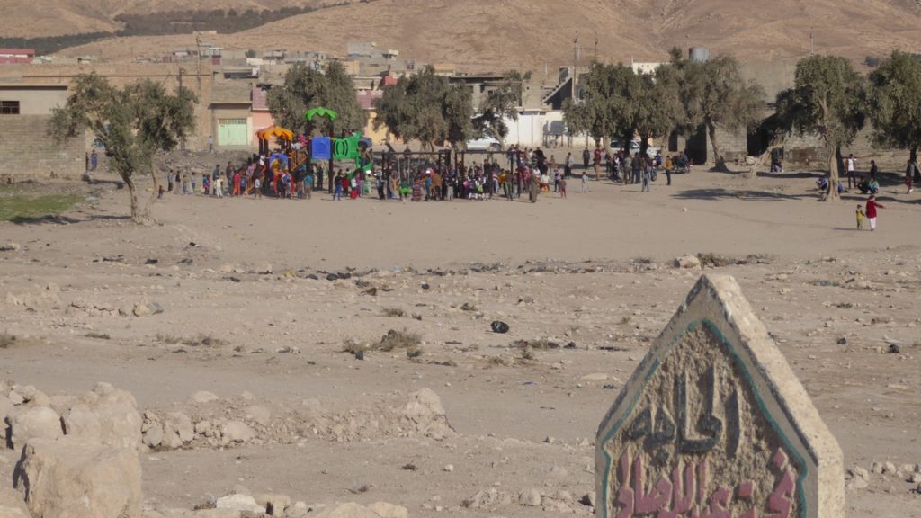 Faisalia heals in the midst of the ongoing war. Photo: FBR.