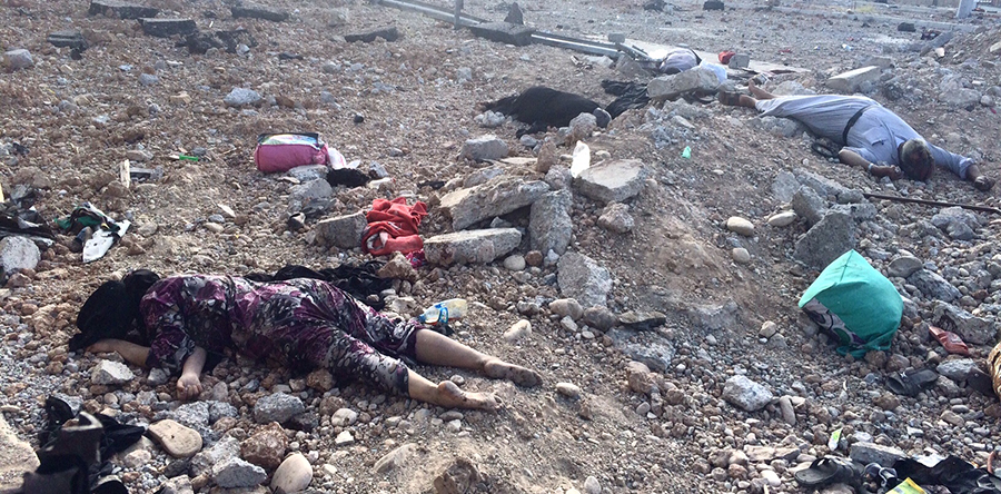One photo of many showing civilians who were gunned down by ISIS on 1 June 2017. Survivors told us there are over 100 shot behind these in the photo and over 100 more hiding behind a destroyed Pepsi factory.